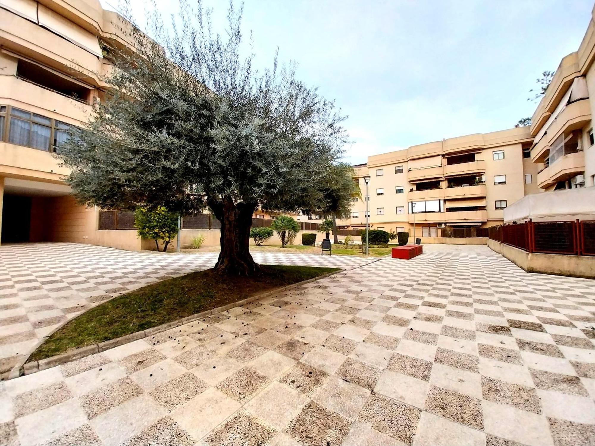 Top Suite Apartment Jerez Jardin Y Patio Jerez de la Frontera Exterior foto